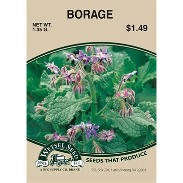 Wetsel Seed Borage (1.35g Packet)