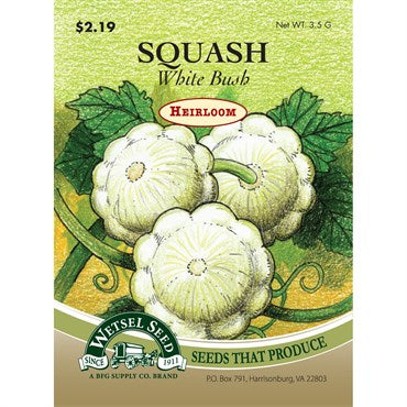 Wetsel Seed Heirloom Squash - White Bush (3.5g Packet)