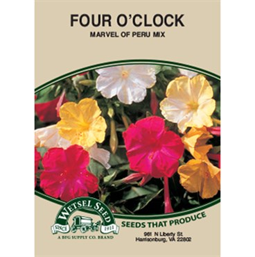 Wetsel Seed Four O'clock Marvel of Peru (2.7g Packet)