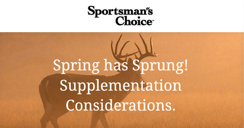 Spring has Sprung! Supplementation Considerations.
