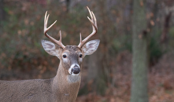 It is Not too Early to Start Planning for Next Year