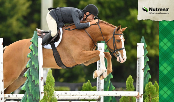 Horse Feed With High Fat Content – The Evolving Role of Fat: The Omega-6 and Omega-3 Ratio