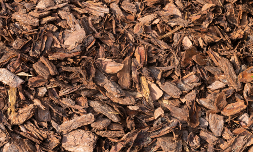 Close-up of pine bark mulch with a brown color.