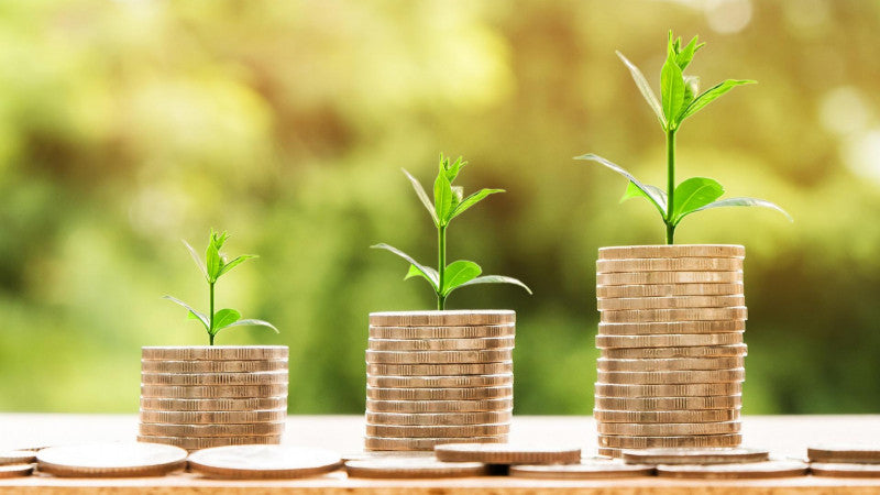 Three stacks of coins, each with a growing plant on top, symbolize financial growth. The stacks increase in size from left to right, set against a blurred outdoor background.
