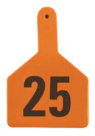 Z Tags Cow Ear Tags Orange Numbered 26-50