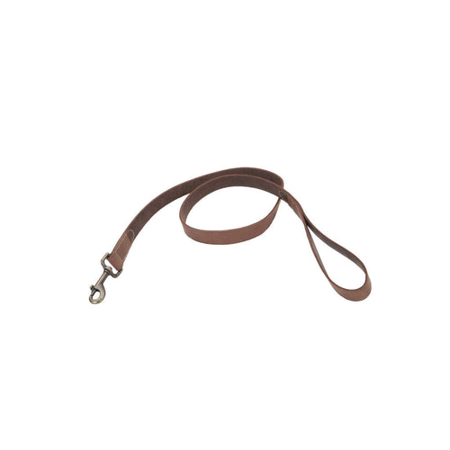 Coastal Pet Circle T Rustic Leather Dog Leash