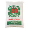 Kentucky 31 Tall Fescue