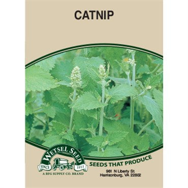 Wetsel Seed Catnip