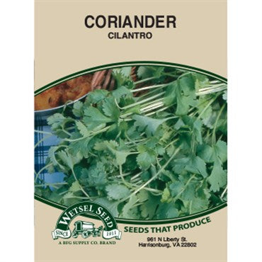 Wetsel Coriander Seed - (Cilantro Leaves)