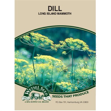 Wetsel Seed Dill - Long Island Mammoth