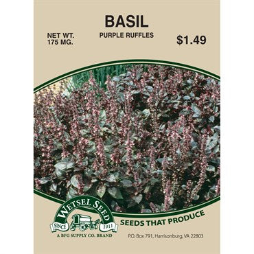 Wetsel Seed Basil - Purple Ruffles