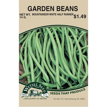 Wetsel Seed Beans - Mountaineer White Half Runners