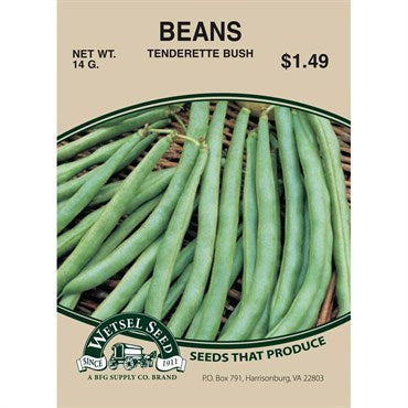 Wetsel Seed Beans - Tenderette