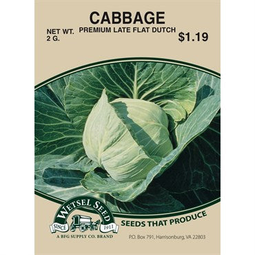 Wetsel Seed Cabbage - Late Flat Dutch