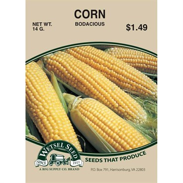 Wetsel Seed Corn - Bodacious