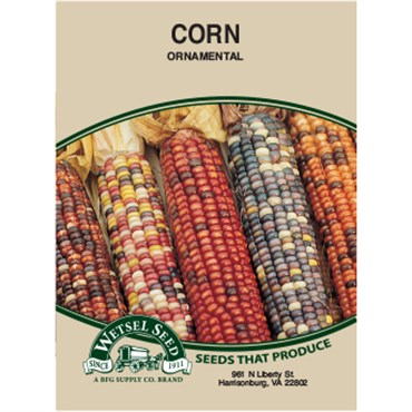 Wetsel Seed Corn - Ornamental
