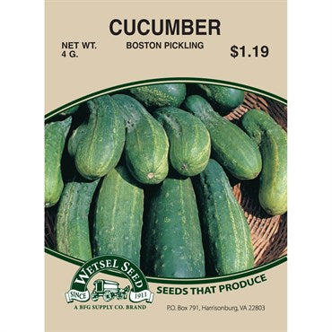 Wetsel Seed Cucumber - Boston Pickling