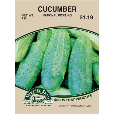 Wetsel Seed Cucumber - National Pickling