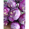 Wetsel Seed Kohlrabi - Early Purple Vienna