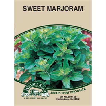 Wetsel Seed Majoram - Sweet