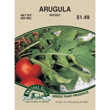 Wetsel Seed Organic - Arugula Rocket