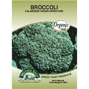 Wetsel Seed Organic - Broccoli - Calabrese