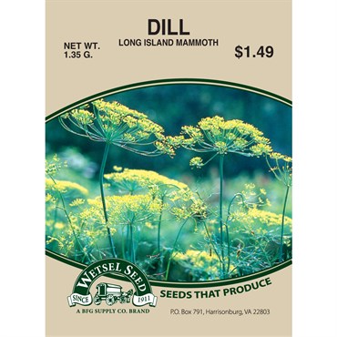 Wetsel Seed Organic - Dill - Mammoth