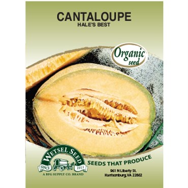 Wetsel Seed Organic - Muskmelon / Cantaloupe - Hales Best Jumbo