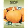 Wetsel Seed Organic Pumpkin - Small Sugar Pie