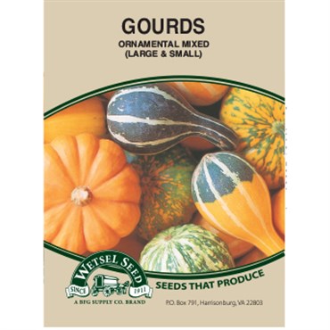 Wetsel Seed Ornamental Gourds - Large & Small Mixed