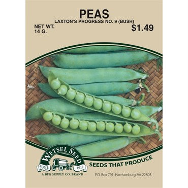 Wetsel Seed Peas - Laxton Progress #9