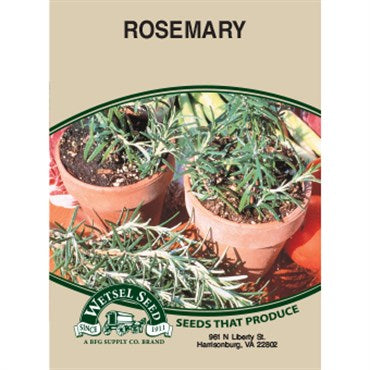 Wetsel Seed Rosemary