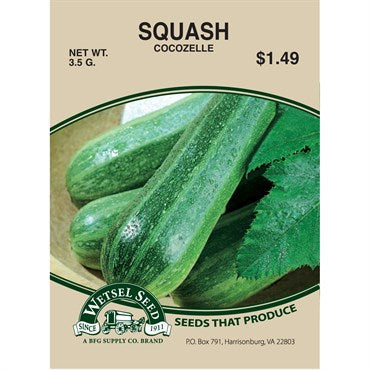 Wetsel Seed Squash - Early Cocozelle (Zucchini)