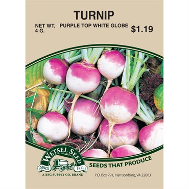 Wetsel Seed Turnip - Purple Top White Globe
