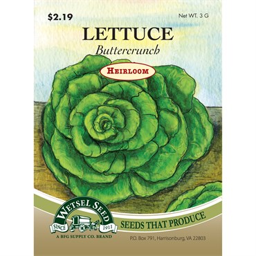 Wetsel Seed Heirloom Lettuce - Buttercrunch