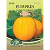 Wetsel Seed Heirloom Pumpkin - Connecticut Field