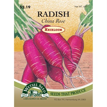 Wetsel Seed Heirloom Radish - China Rose