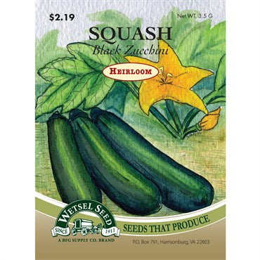 Wetsel Seed Heirloom Squash - Black Zucchini