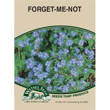 Wetsel Seed Myosotis Forget-Me-Not