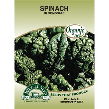 Wetsel Seed Organic Spinach - Bloomsdale Long Standing
