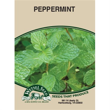 Wetsel Seed Peppermint