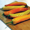 Wetsel Seed Peppers - Hot Sunset