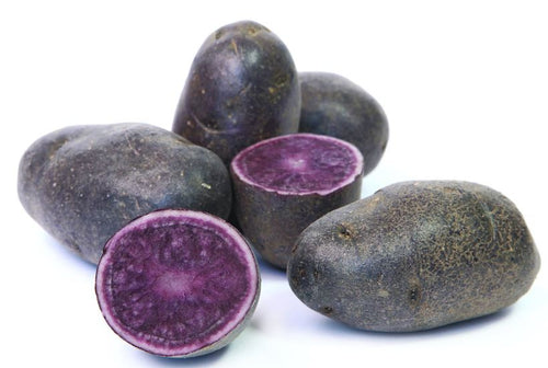 Adirondack Blue Potato - Certified