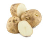 White Kennebec Seed Potatoes - Certified