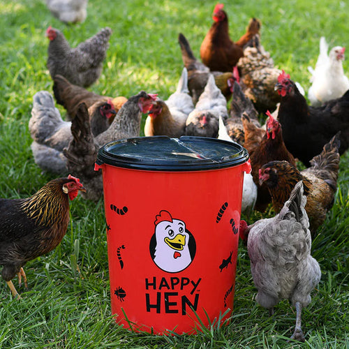 Happy Hen Bucket