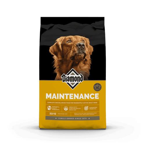 Diamond Maintenance Dry Dog Food