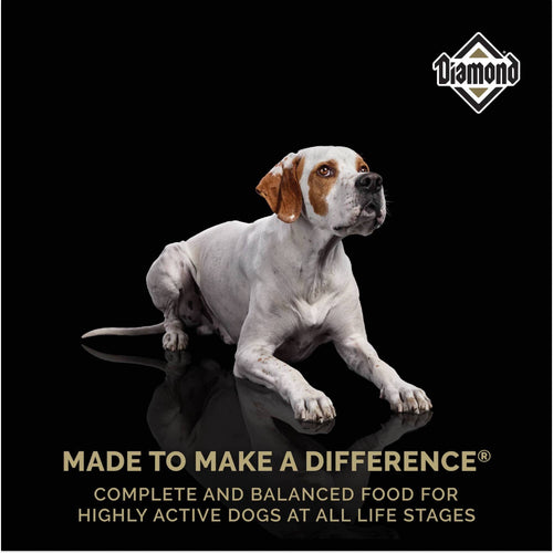 Diamond Performance Dry Dog Food
