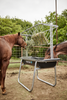 Tarter Hay Rack