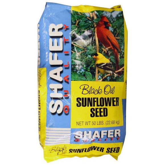 Shafer Generic Black Oil Sunflower Seed