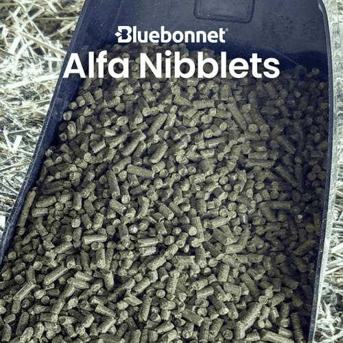 Bluebonnet Alfa Nibblets Pelleted Forage